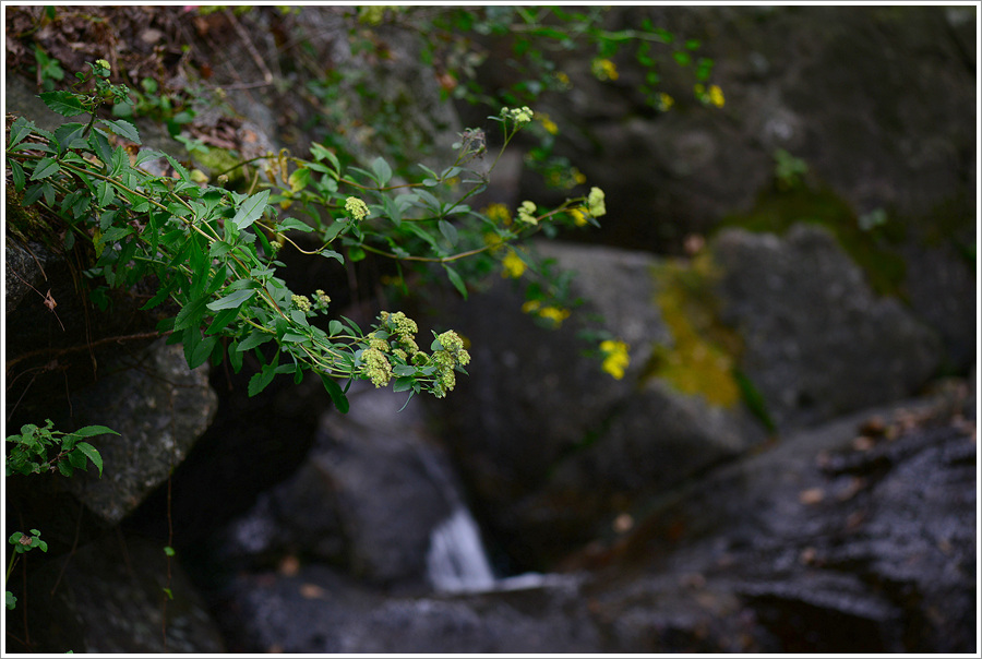 DSC_9677.jpg
