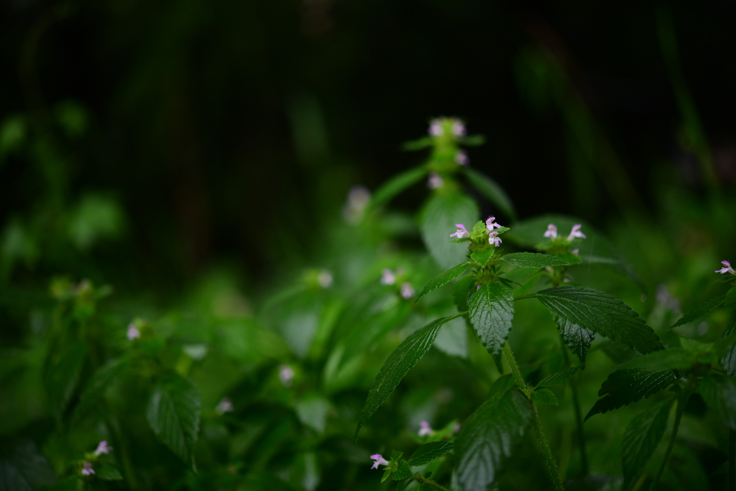 크기변환_DSC_3284.JPG