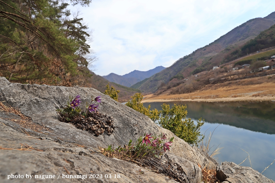 동강문산1.jpg