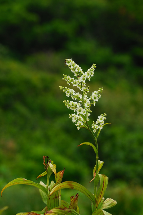 DSC_8900-1.jpg