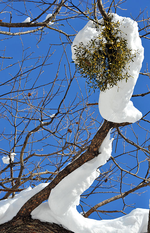 20110102_0186-1.jpg