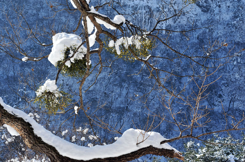 20110102_0160-1.jpg