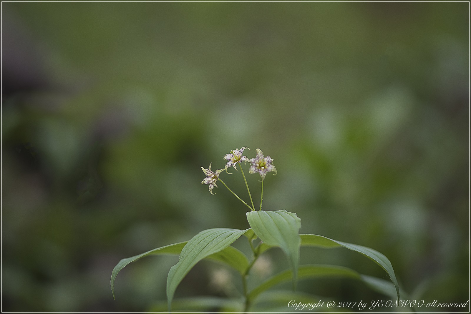 DSC_0015.jpg