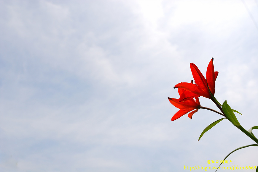 DSC_2646.jpg