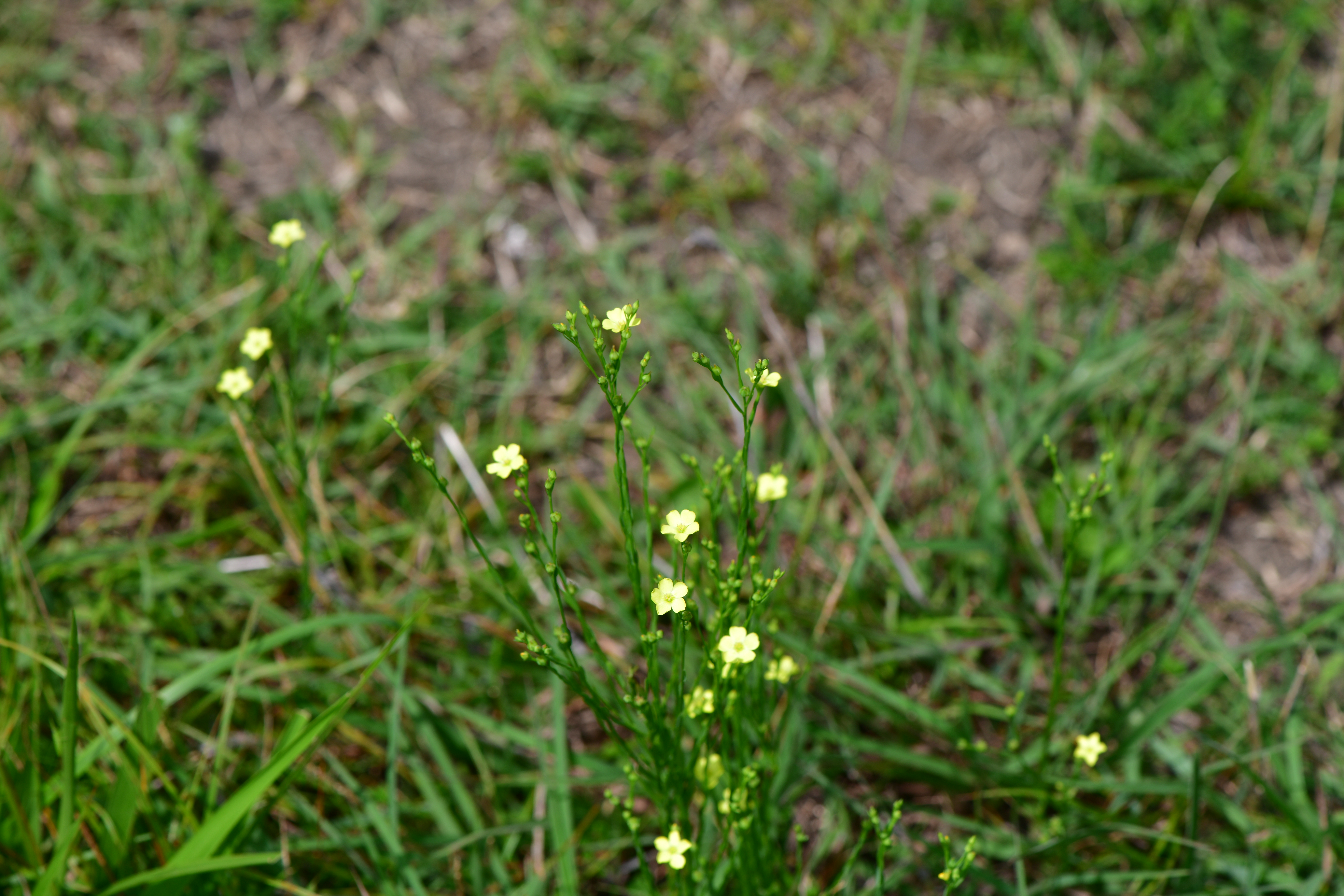 DSC_3053.JPG
