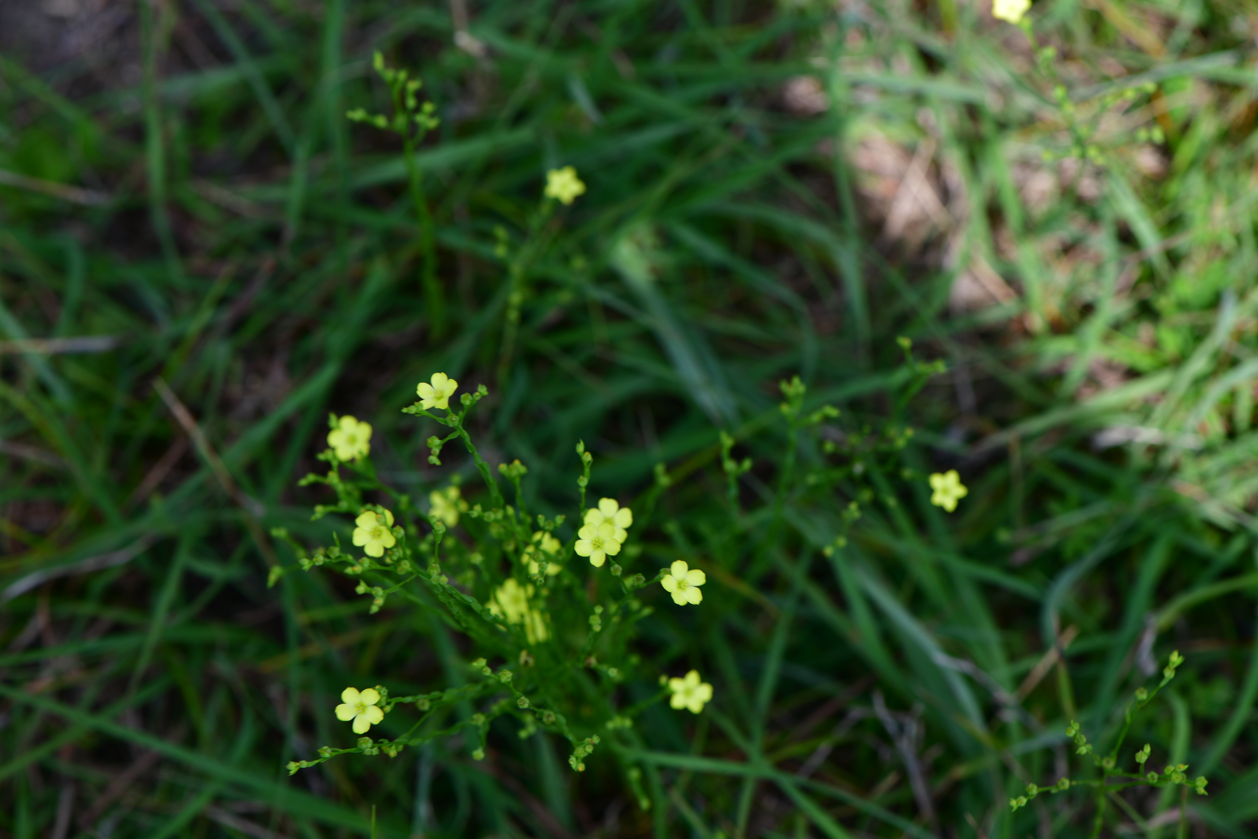 DSC_3061.JPG