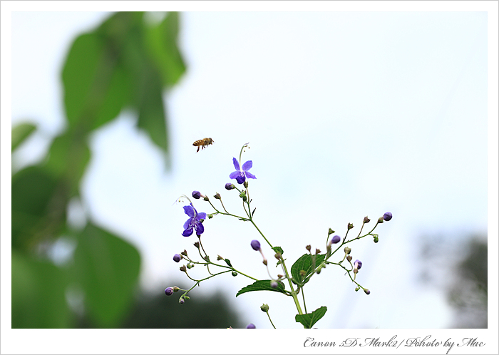 IMG_29735.jpg