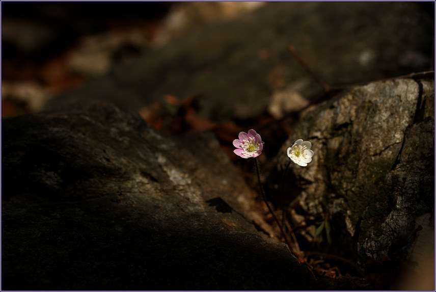 2011-03-22 165.jpg