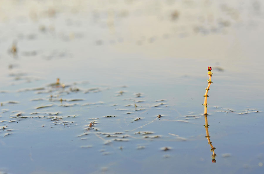20111017_0043-1.jpg