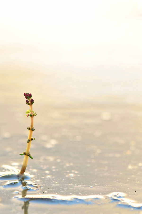 20111016_0117-1.jpg