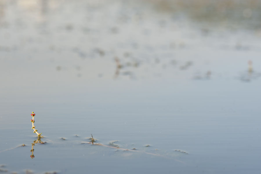 20111017_0051a-1.jpg