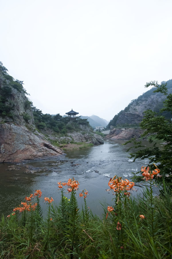 20130728_0051a-1.jpg