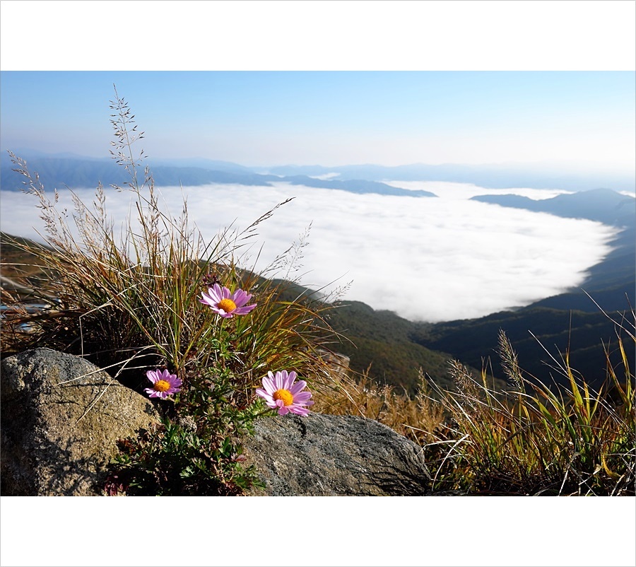 산구절2.JPG