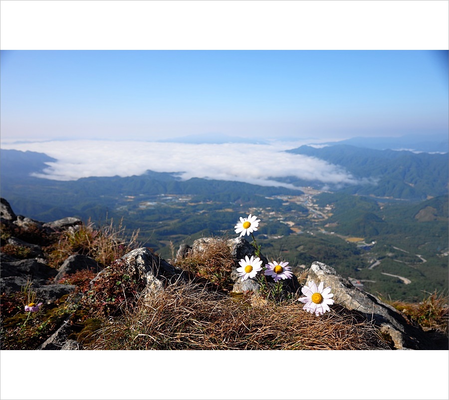 산구절14.JPG