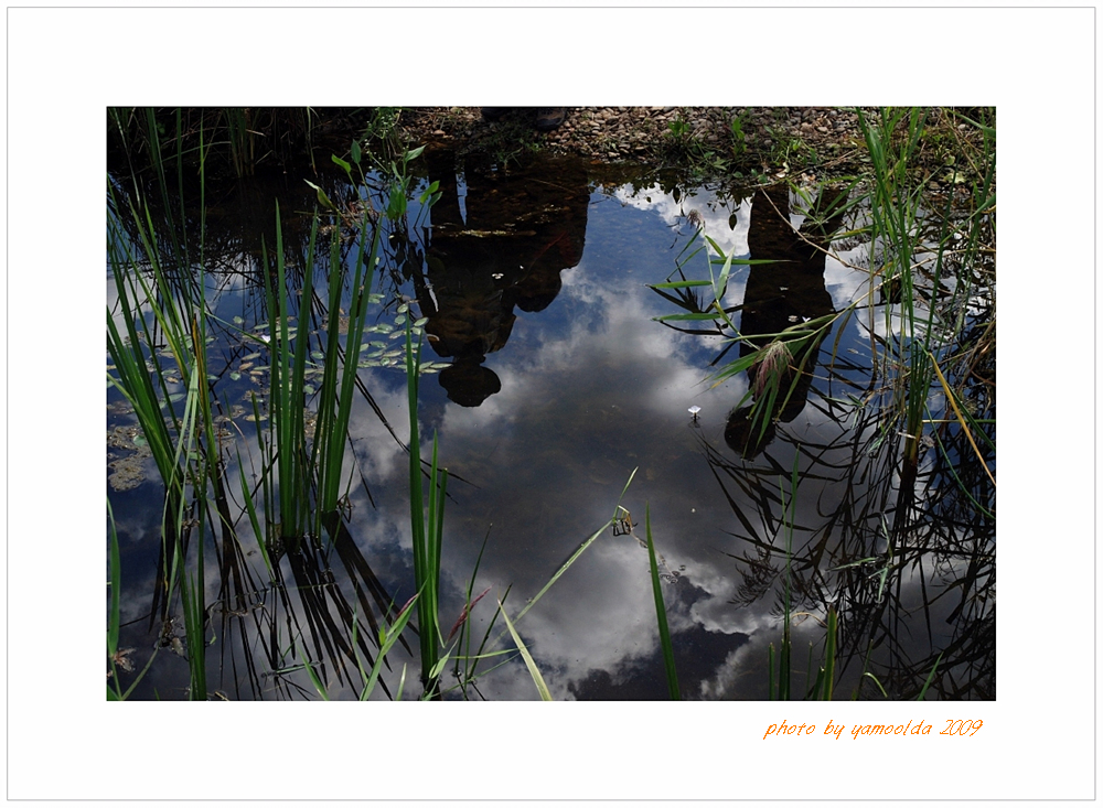 DSC_5071.jpg