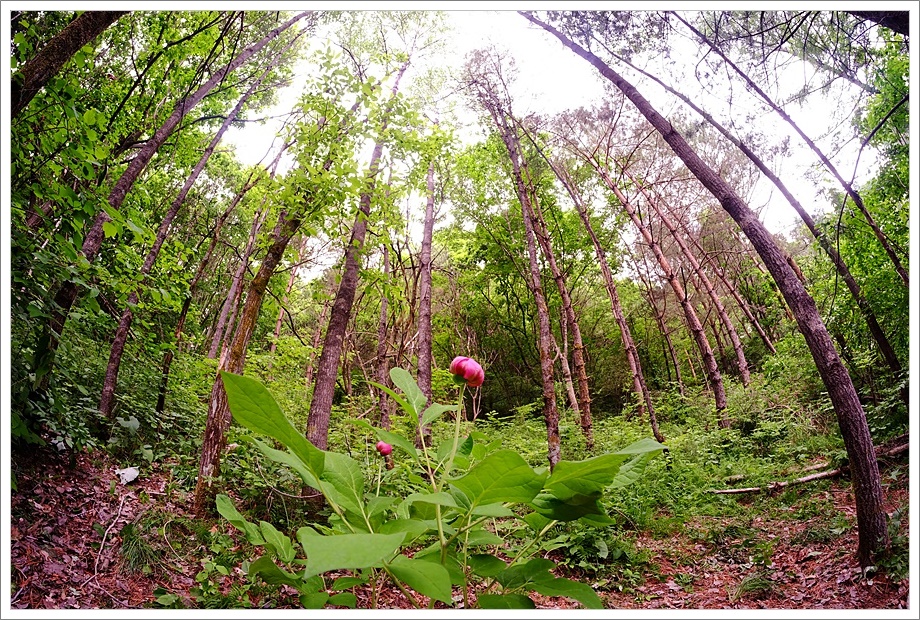 산작3.JPG