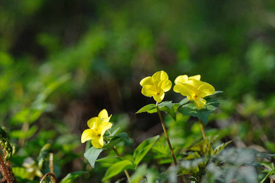 DSC_1848.jpg