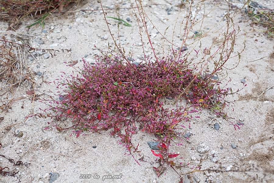 20191005-P39A4398.jpg