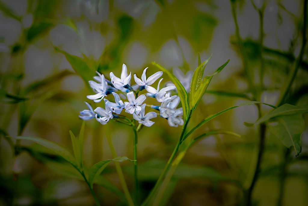 5A7A3879.psd-1.jpg