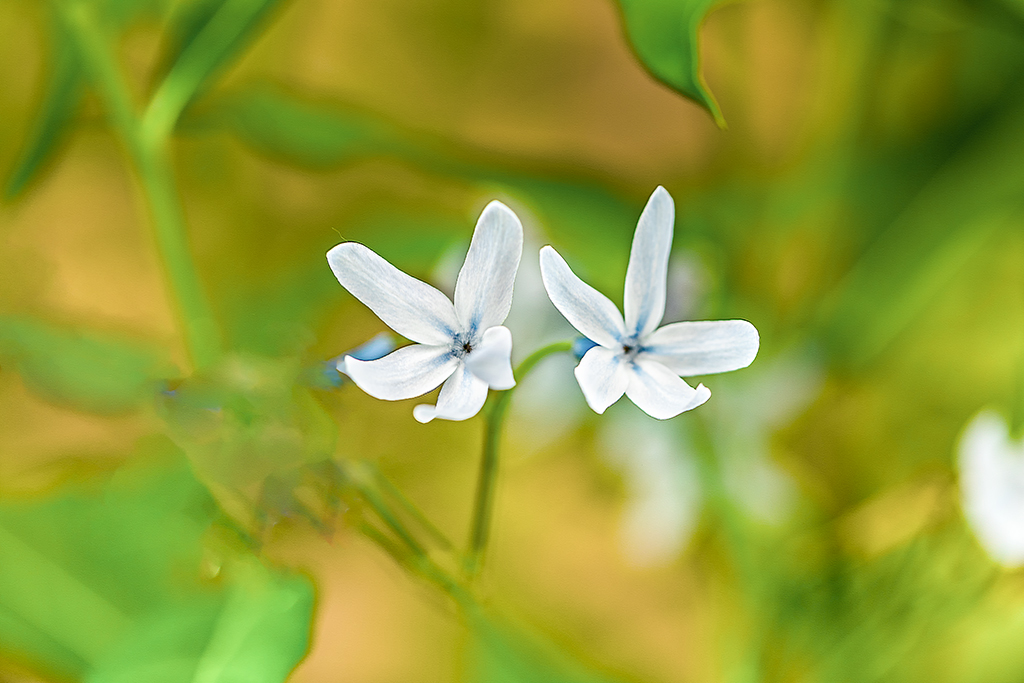 5A7A3885.psd-1.jpg