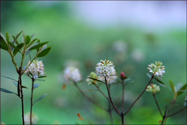 DSC_8901.jpg