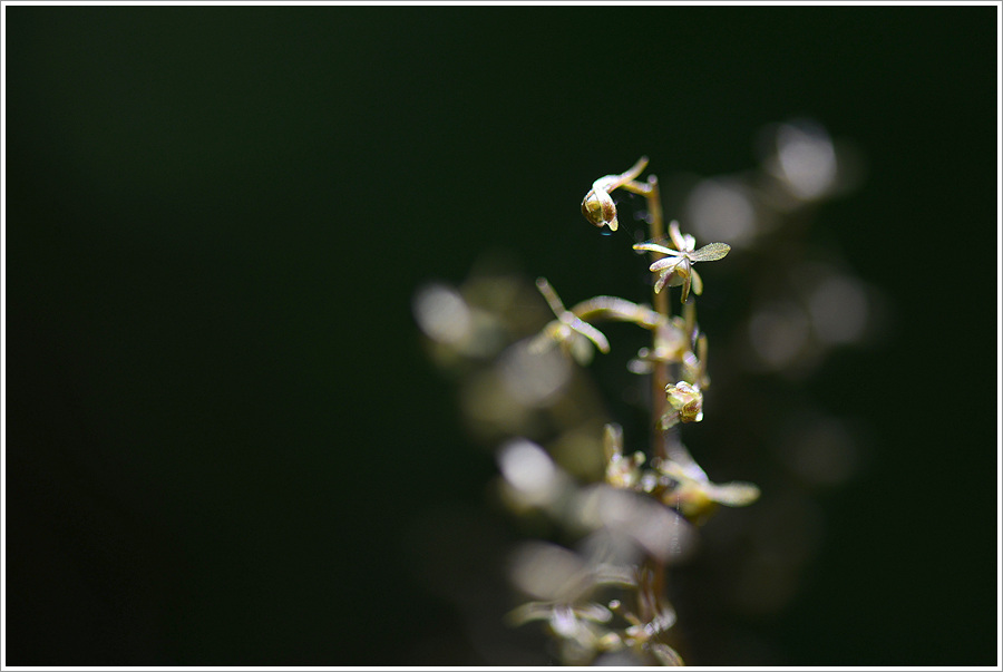 PH0_5764.jpg