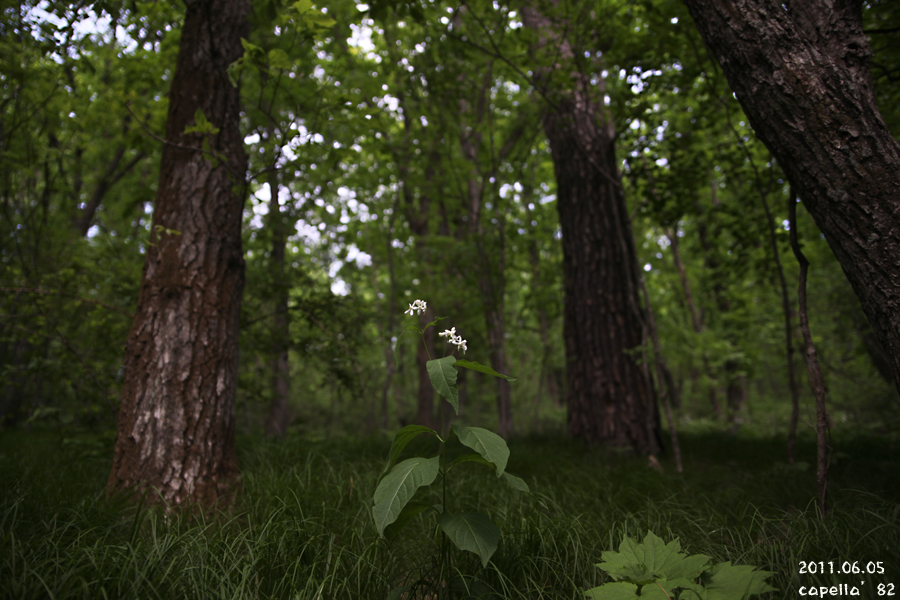 0605-5-3.jpg