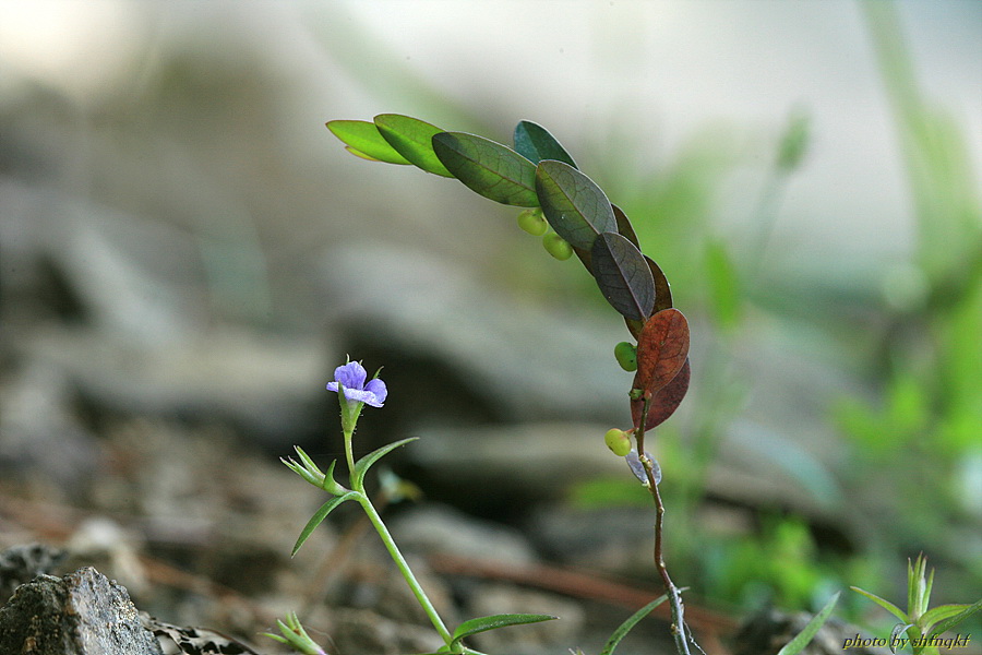 QH3S2641.jpg
