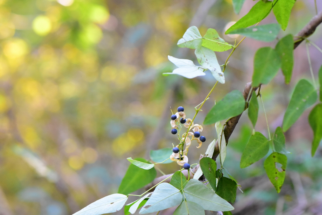 DSC_8703.JPG