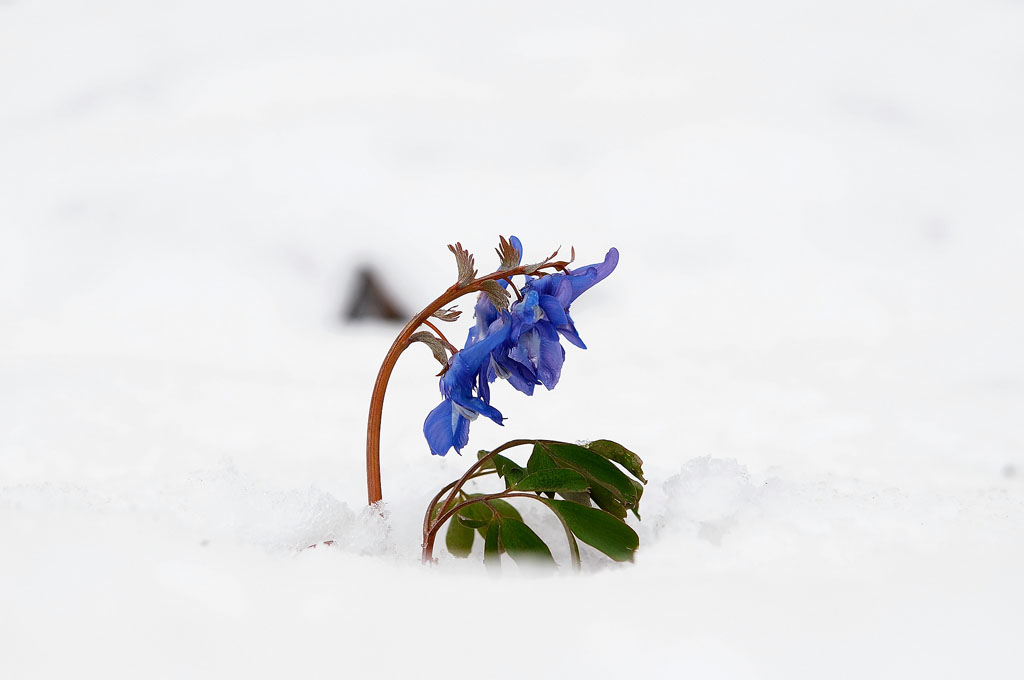 DSC_9790-1.jpg