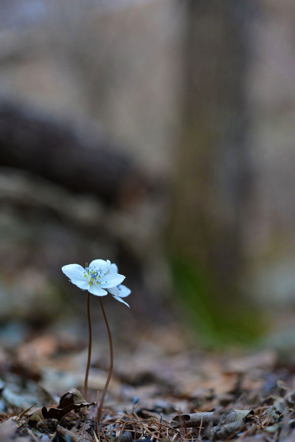 20130315_0046-1.jpg