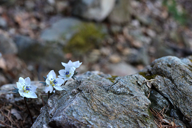 20130315_0055-1.jpg