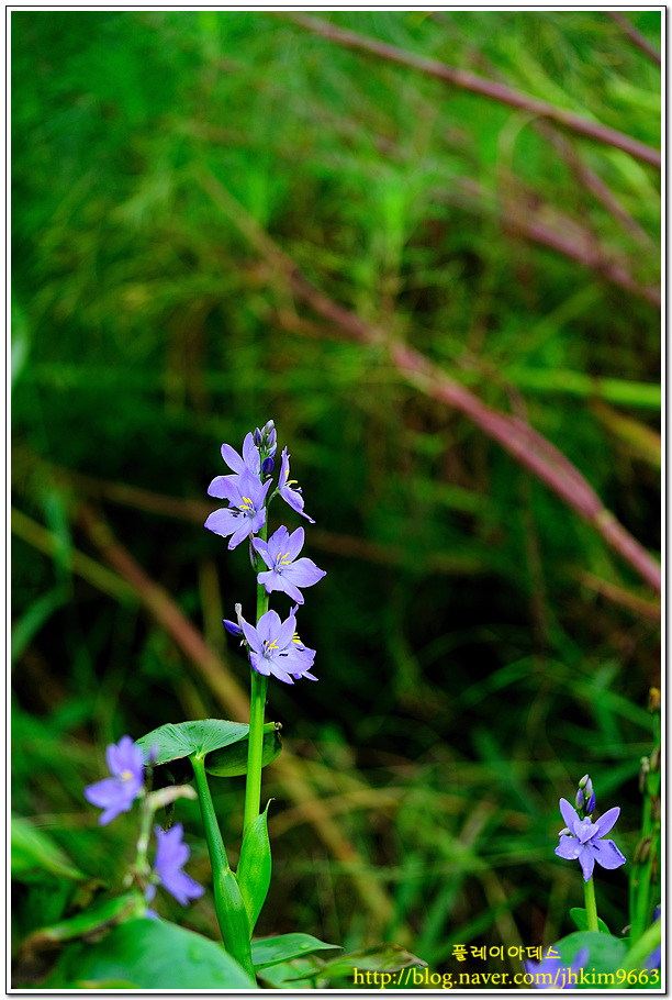 DSC_7790.jpg