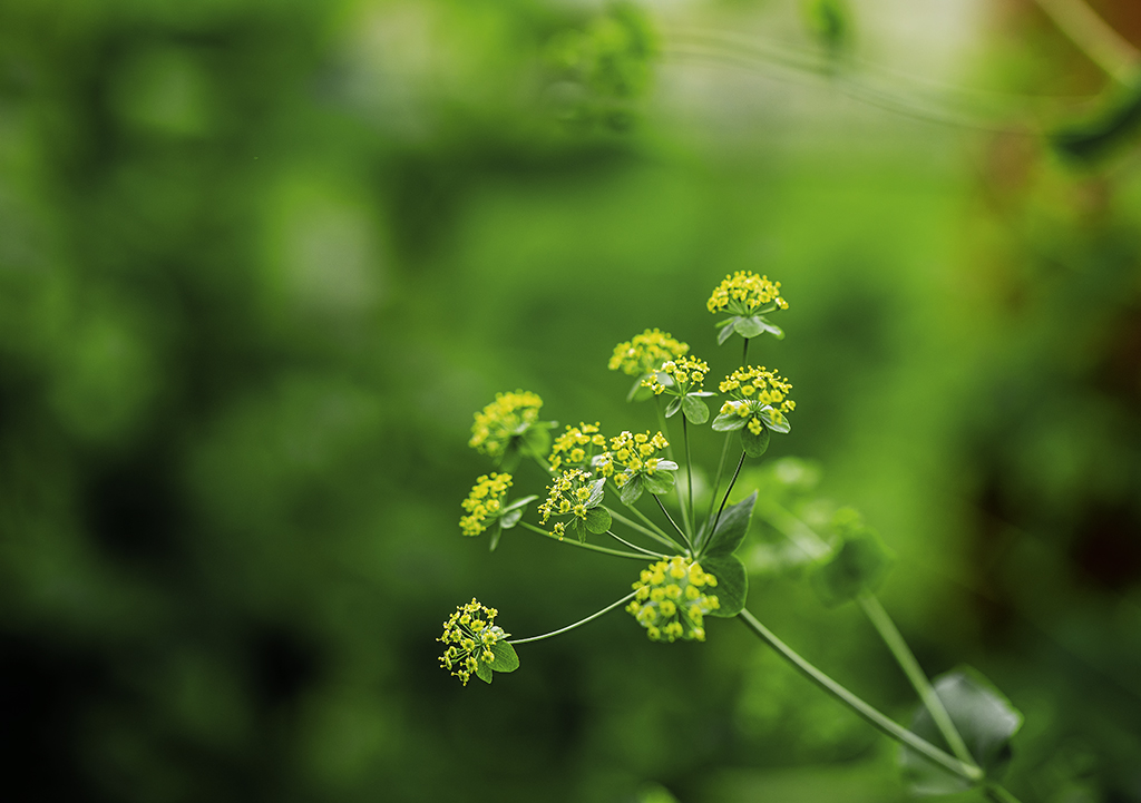 5A7A3863.psd-1.jpg