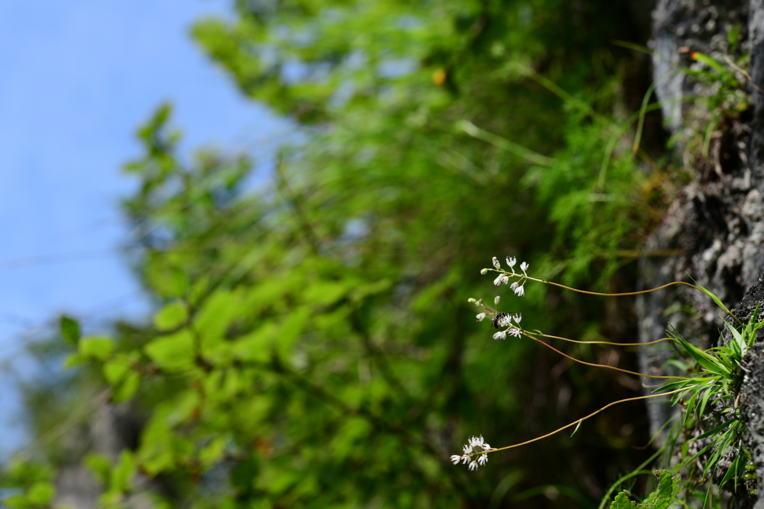 크기변환_DSC_3933.JPG