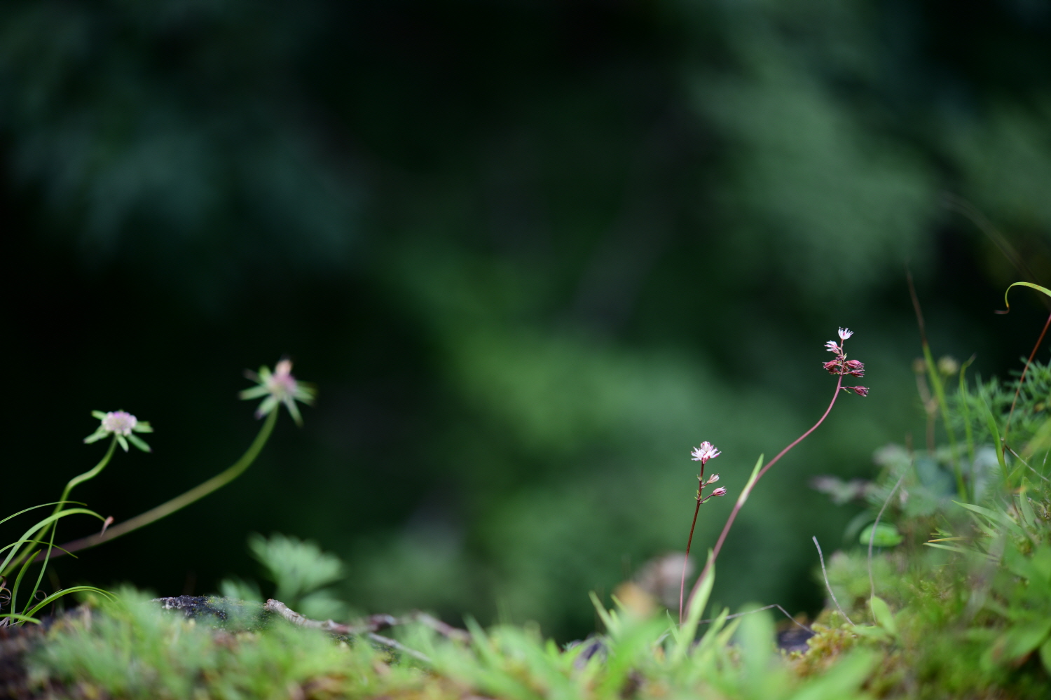 크기변환_DSC_4000.JPG