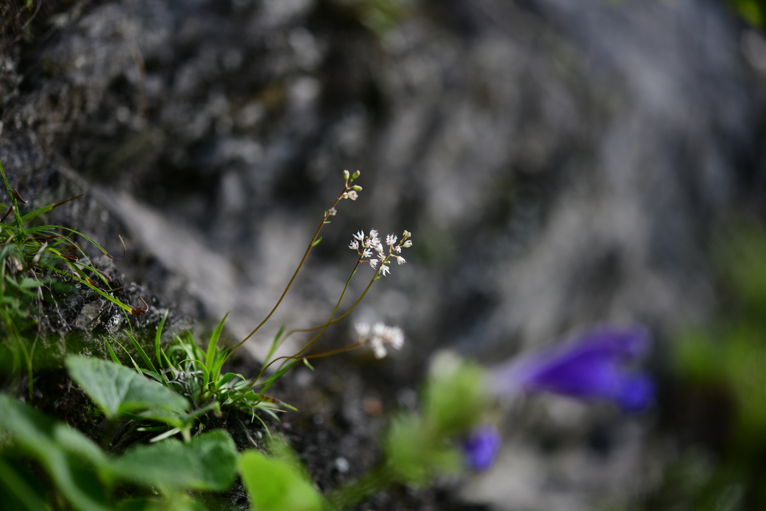 크기변환_DSC_4185.JPG