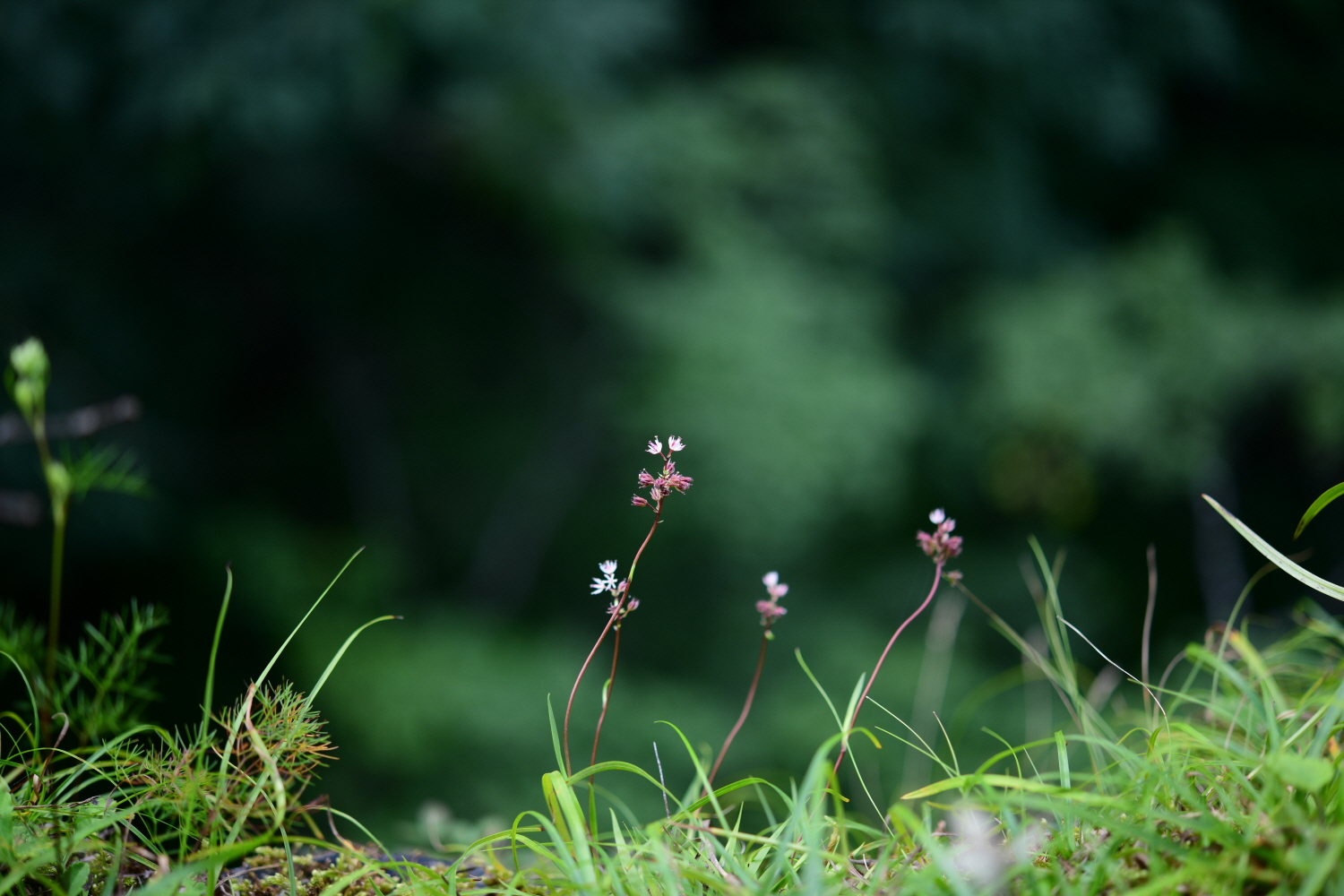 크기변환_DSC_4031.JPG