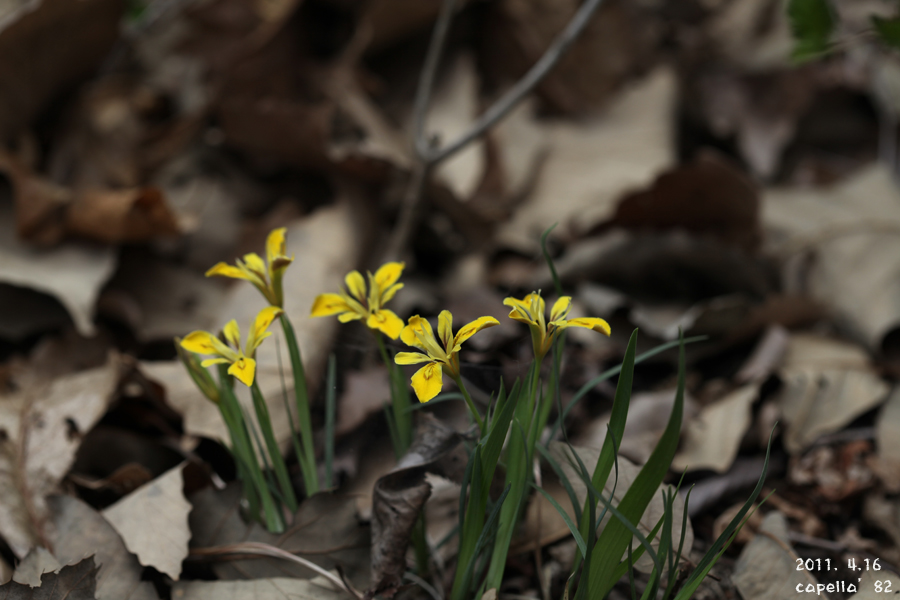 0416-3-1.jpg
