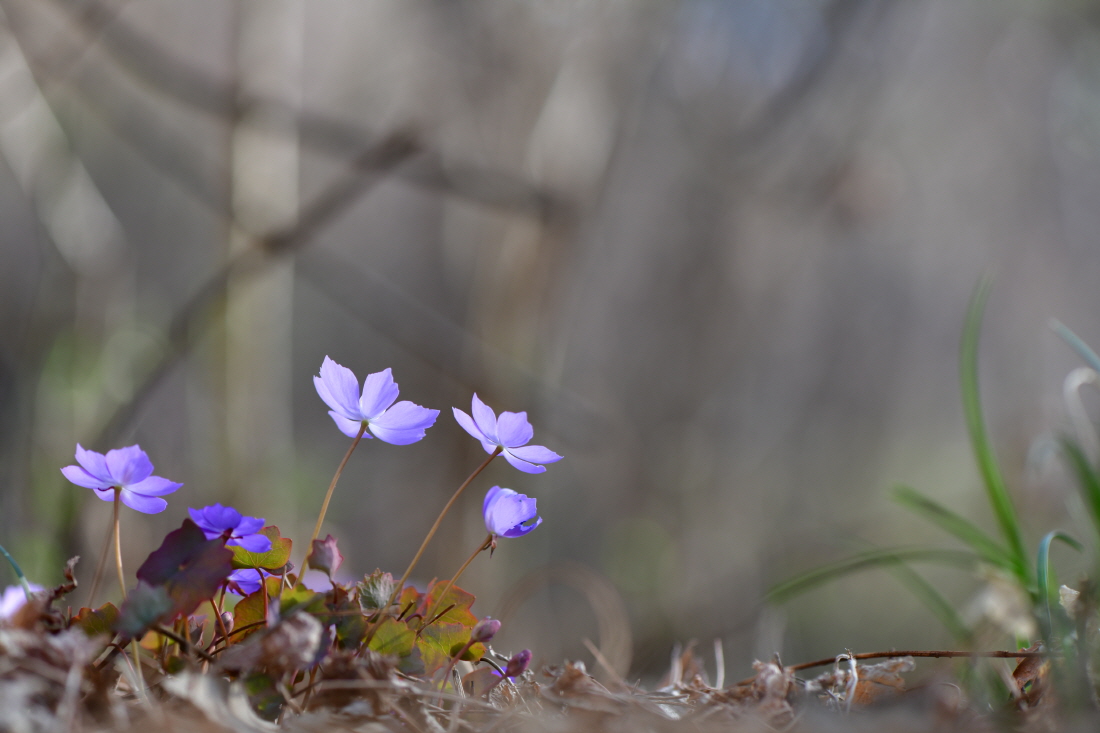 DSC_2608.JPG