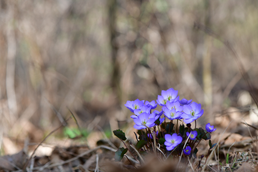 DSC_2630.JPG
