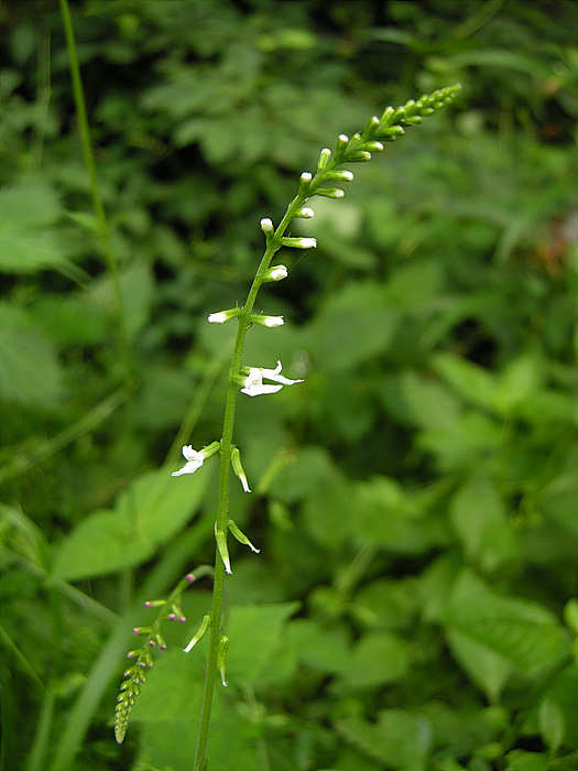 사진 094.jpg