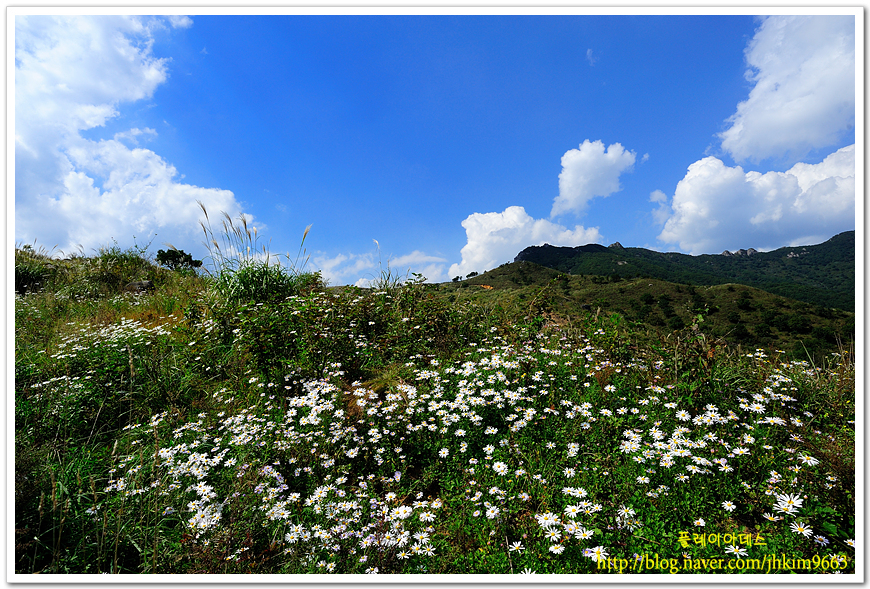 DSC_5870.jpg