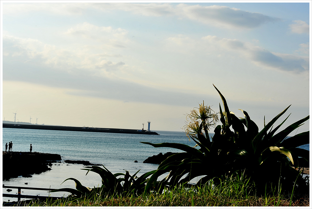 DSC_0903.jpg