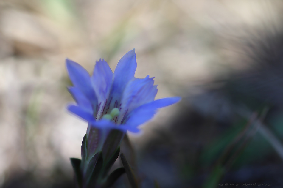 IMG_6758_copy.jpg
