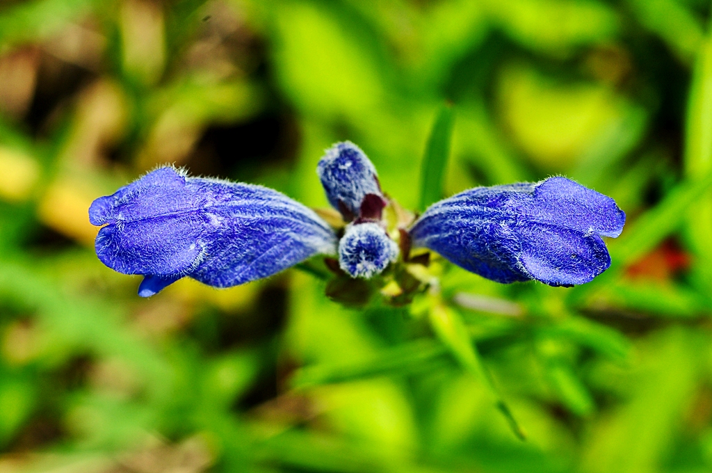 DSC_9429.jpg