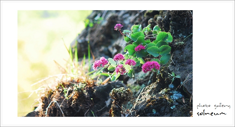 09-077 okkeakeakog(0918) 1556ss.jpg