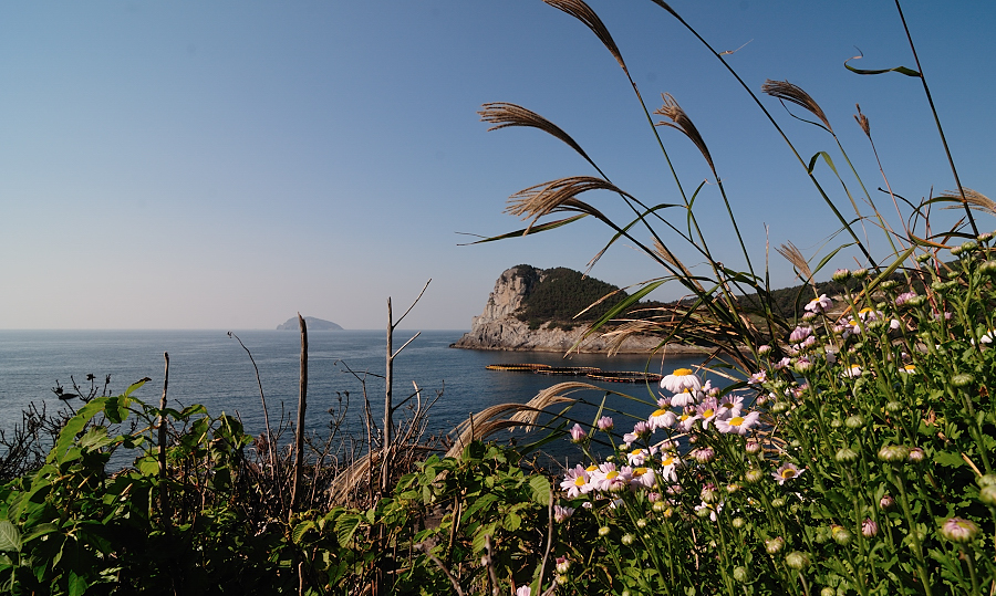 111008_149.JPG
