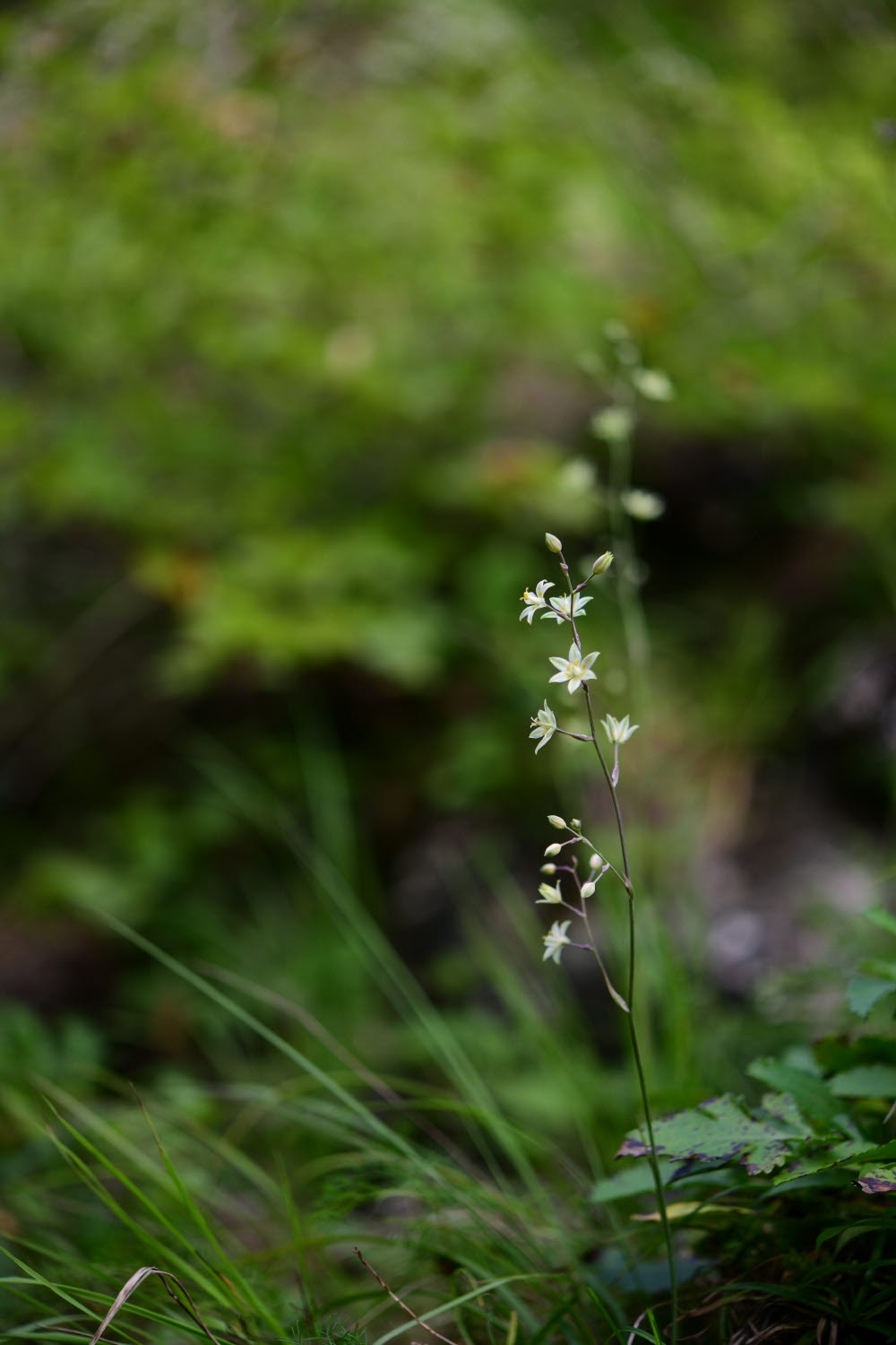 크기변환_DSC_4073.JPG