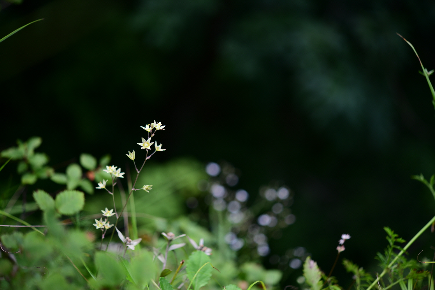 크기변환_DSC_4108.JPG